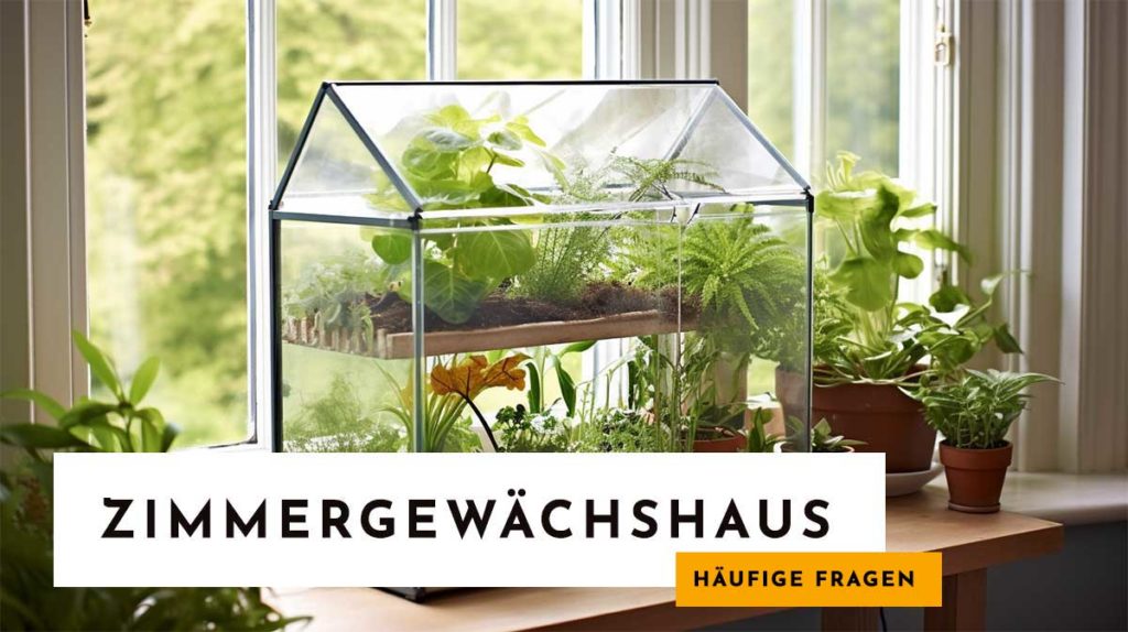 Häufige Fragen zu Mini Gewächshaus