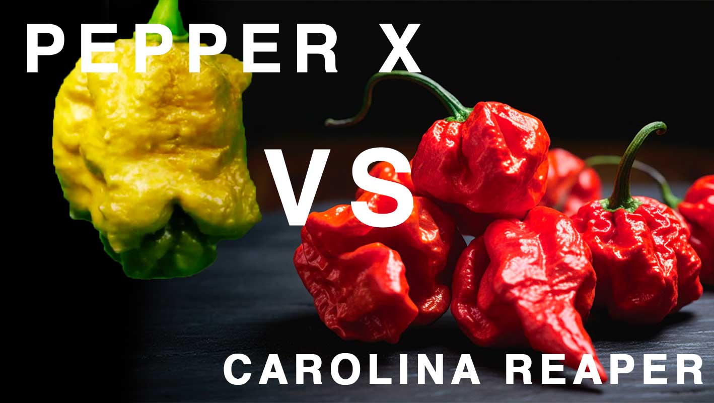 Pepper X vs Carolina Reaper